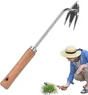 Weeder Puller Tool,Hand Weeder Puller | Ergonomic Handle Heavy Duty 3 Teeth Picker Grass Removal for Vegetable Farm Backyard Flower Lawn Yard