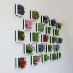 創意三維人造植物立體仿真植物相框牆
