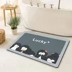 Comfortable Diatom Mud Floor Mat Absorbent Chinese Printed Door Mat Toilet