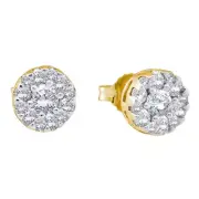 14kt Yellow Gold Womens Round Diamond Flower Cluster Screwback Stud Earring