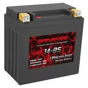 Lithium LiFePO4 Battery Replaces Yuasa YTX14-BS Lightweight Motorcycle