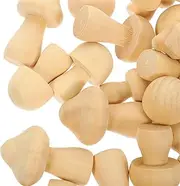 HAWILLOSCH DIY Craft Kit 30pcs Wooden Mushrooms Blank Mini Models for Drawing Painting Decorating Home Decor Accessories