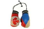 CANADA & CZECH REPUBLIC Country Flags Mini BOXING GLOVES .. New