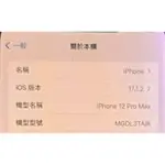 IPHONE 12 PRO MAX 512G