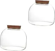 Cork Glass Bottle Water Station Planting Vase Acuario Globe Bowl Terrarium Geometric Plant Terrarium Clear Vase Airtight Plant Propagation Station Planter Wood Round (15x15CMx2pcs,Transparentx2pcs)