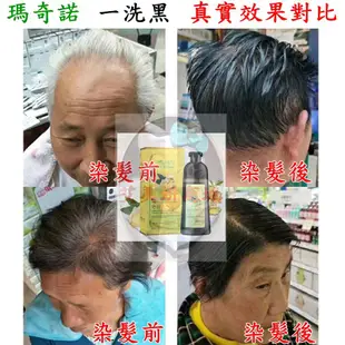 兩瓶價老薑王草本植物一支彩 一隻黑 染髮劑 洗髮精 一洗黑 500ml洗染護髮染 不傷髮洗髮露 洗髮水 淺棕深棕色