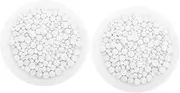 BESPORTBLE Flower Ceramic Balls 1000g for Hydroponic Gardening Cotta Pots Cultivation Soil Stone