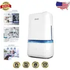 Compact 4L Cool Mist Humidifier & Aromatherapy - Auto Shut-Off & Touch Control