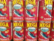 Sardines in can HALAL Hot in tomato souse chili added Fresh 155gr (5.5 oz)