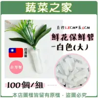 在飛比找momo購物網優惠-【蔬菜之家】鮮花保鮮管-白色-大-100個組 直徑1.8CM