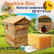 Upgraded Auto Honey Beehive Bee hive Frames + Beekeeping Brood CedarwoodBox 7pcs