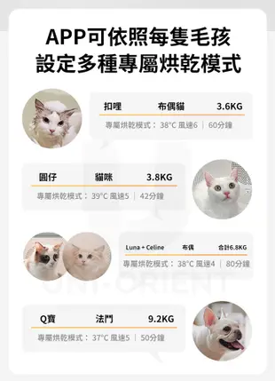 Petkit佩奇 頭等艙智能寵物烘毛箱 吹毛機 烘毛機 烘毛箱 寵物吹毛機 寵物烘箱 寵物烘乾 寵物 (4.5折)