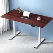 140CM Electric Standing Desk Computer Desks Dual Motor