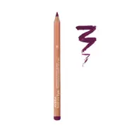 ✨NEW IN BOX✨ AVEDA Lip Crayon Shade Currant 05