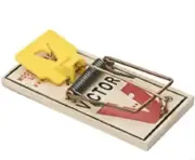 12 Victor Mouse Snap Traps M325 Pro - Holdfast ~ Kill and Control Mice Mouse