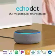 Amazon Echo Dot 3rd Generation Smart Speaker with Alexa Voice Control Gray He...