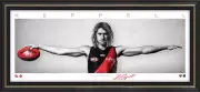DYSON HEPPELL ESSENDON BOMBERS SIGNED FRAMED SIGNATURE SERIES WINGS PRINT HIRD