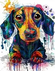 PPTRTYQ DIY Paint by Numbers Kit for Adults, Multicolor Dachshund Dog Watercolor 16x20 inch Acrylic Painting Kit with Brushes and Acrylic Pigment, Non-Toxic, Unisex, All Seasons