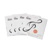 Paititi Premium Rosa Violin String Steel Core String Set(4) 4/4 Size Violin