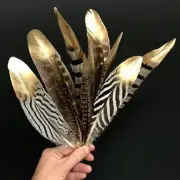 Natural Pheasant Feathers Assorted - Metallic Gold Tipped x 10
