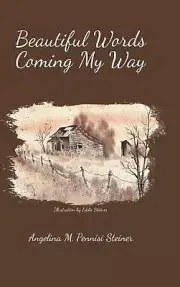 Beautiful Words Coming My Way by Angelina M. Pennisi Steiner (English) Hardcover
