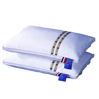 在飛比找樂天市場購物網優惠-南極人全棉枕頭民族風刺繡織帶可水洗護頸枕芯全棉枕芯小清新枕頭