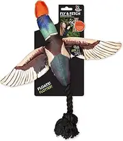 Fly and Fetch Duck Squeak Dog Toy