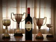2016 Viñedo Chadwick - Buy Online | The Wine Collective International Marketplace