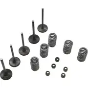 WISECO 0926-3067 SVKB2424 Valve Kit