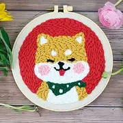 Punch Needle kit Embroidery Starter Kits with Embroidery Pen and Hoop, Punch Needle Tool Yarn for Kids Adults Beginner,Idea for Teacher/Parents/Friends (C)