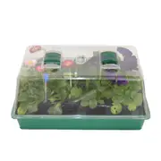 Ryset Medium Propagator Box - 24 Cell - 35CM x 25CM - Propagation - Cuttings