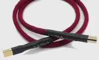 在飛比找Yahoo!奇摩拍賣優惠-LUNA CABLES ROUGE USB CABLE (T