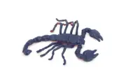 Scorpion Toy, Rubber Scorpion, Realistic Hand Painted Model, Gift, 3" US14 B44