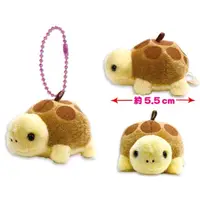 在飛比找蝦皮購物優惠-現貨🌸日本正版 AMUSE 水生動物 烏龜 娃娃 玩偶 珠鍊