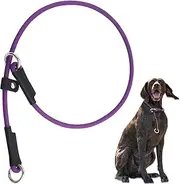 Slip Collar for Dog Show Collar Dog Training Collar - 26'' Slip Dog Collar Lightweight Adjustable Waterproof PVC Dog Slip Collar No Pull Dog Collar Purple Dog Collar Dog Slip Lead Collar