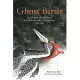 Ghost Birds: Jim Tanner and the Quest for the Ivory-billed Woodpecker, 1935-1941