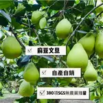 【免運 】麻豆50年老欉柚子文旦禮盒 SGS無毒 小農自產自銷 外銷等級 產地直銷 王家 中秋節送禮 賞月 紅文旦