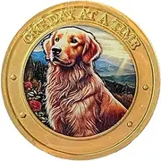 Golden Retriever Dog in Field One Day at A Time Medallion Serenity Prayer Chip