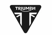 TRIUMPH T2501310 Fuse Mini 10A