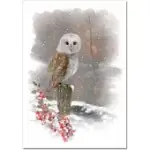 WINTER OWL SMALL BOXED HOLIDAY CARDS