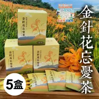 在飛比找台灣好農優惠-從心出花│(5盒)【德森農莊】金針花忘憂茶 (25g/盒)