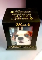 Cat Dog Urn Memorial Laser Engraved | Pet Memorial Box for Cremation Ashes