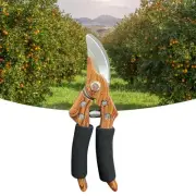 8" Pruning Shears Professional Bypass Garden Scissors Secateurs Tool AU