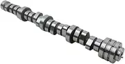 Engine Camshaft,Compatible with Chrysler Aspen Durango 2009 For Dodge Ram 1500 5.7L 2009-2019 53022263AF 53022263AE