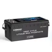 Renogy 12/24/48v 300Ah lifePo4 Lithium Battery with self heating function