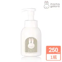 在飛比找momo購物網優惠-【Mamagokoro】嬰兒植萃泡泡洗髮沐浴露250ml(保