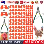 61Pcs Pinless Peepers Anti-Pecking Pheasant Poultry Chicken Blinders Spectacles