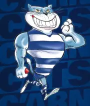 Geelong cats TEAM POSTER,AFL FOOTBALL PREMIERS ,SWANTIGERS MELBOURNE DEMONS dogs