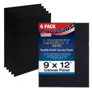 9 X 12 inch Black Professional Artist Quality Acid Free Canvas Panels 6-Pack