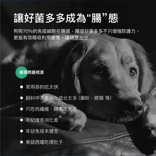 【木入森】犬寶變不臭 30包 狗狗益生菌 維持狗狗消化道機能 寵物益生菌 60億好菌+綜合酵素+膳食纖維 -柴夫人寵物館